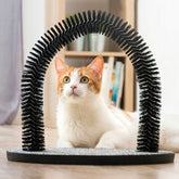Grattoir pour Chats et Arc Masseur